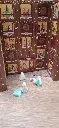 20260916_135551.webp